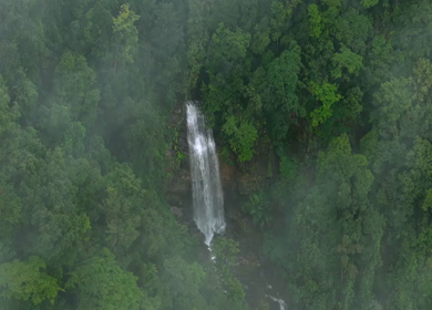 Aerial View of Waterfall in Sharavati Valley, Misty Forest, Karnataka