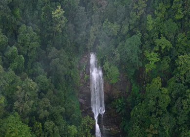 Aerial View of Waterfall in Sharavati Valley, Misty Forest, Karnataka