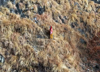 Aerial View of Local Woman Collecting Grass on Mountain in Uttarakhand