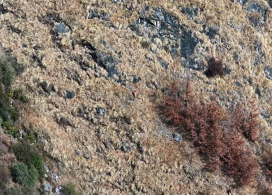 Aerial View of Local Woman Collecting Grass on Mountain in Uttarakhand