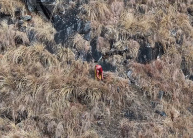 Aerial View of Local Woman Collecting Grass on Mountain in Uttarakhand