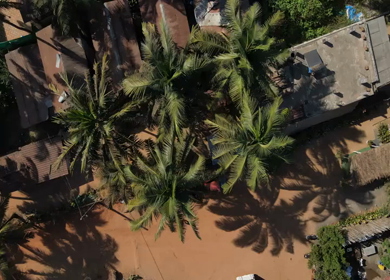 An Aerial shot of Anjuna Beach at Goa in India
