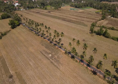 An Aerial shot of Parra Road in Goa, India
