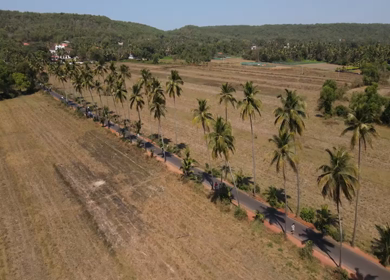 An Aerial shot of Parra Road in Goa, India