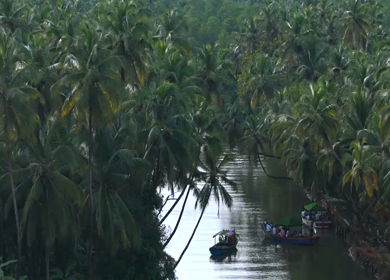 Aerial drone shot of backwaters in Honnavar Karnataka India