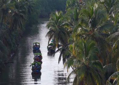 Aerial drone shot of backwaters in Honnavar Karnataka India