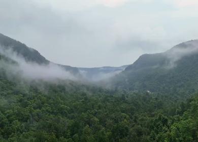Aerial shot of dense forest and rolling hills in Rohtas Bihar India