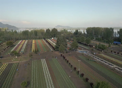 Aerial view of Indira Gandhi Memorial Tulip Garden in Srinagar Kashmir India