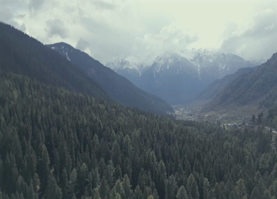 Aerial view of Pahalgam pine forest and Himalayan mountains in Kashmir India