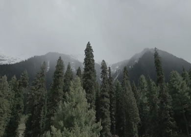 Aerial view of Pahalgam pine forest and Himalayan mountains in Kashmir India