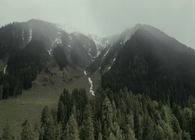 Aerial view of Pahalgam pine forest and Himalayan mountains in Kashmir India