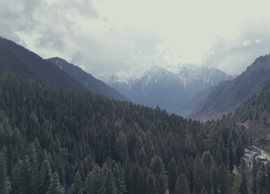 Aerial view of Pahalgam pine forest and Himalayan mountains in Kashmir India