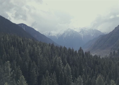 Aerial view of Pahalgam pine forest and Himalayan mountains in Kashmir India