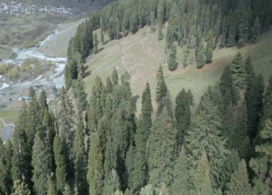 Aerial view of Pahalgam valley in Kashmir Jammu India