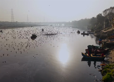 Aerial view of boats and migratory birds near Yamuna River ghat in Delhi India