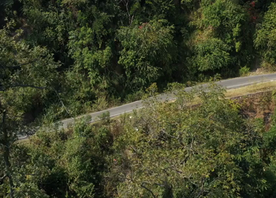 Aerial view of a winding mountain road passing through dense green forest in Uttarakhand, India