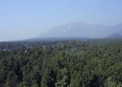 Aerial view of forest covered mountains under a blue sky with clouds in Uttarakhand, India