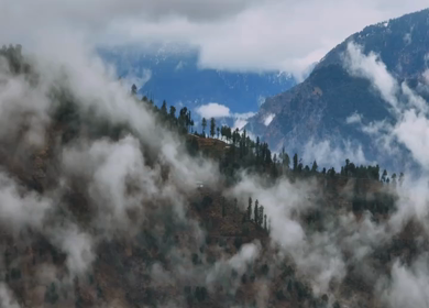 Aerial view of misty mountains and forest landscape in Kalpa Himachal Pradesh India