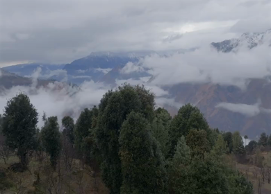 Aerial view of misty mountains and forest landscape in Kalpa Himachal Pradesh India