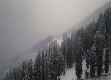 Aerial view of snow covered mountains and pine forest in Manali Himachal Pradesh India