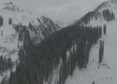 Aerial view of snow covered mountains and pine forest in Manali Himachal Pradesh India