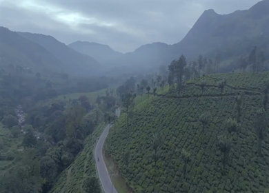 Aerial view of winding road through tea plantations in Munnar Kerala India