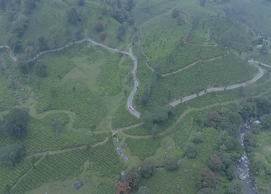 Aerial view of winding road through tea plantations in Munnar Kerala India