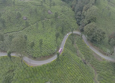 Aerial view of winding road through tea plantations in Munnar Kerala India