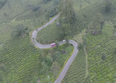 Aerial view of winding road through tea plantations in Munnar Kerala India