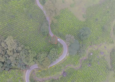Aerial view of winding road through tea plantations in Munnar Kerala India