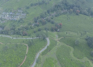 Aerial view of winding road through tea plantations in Munnar Kerala India