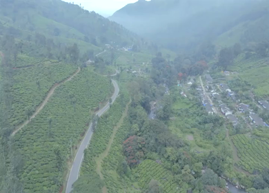 Aerial view of winding road through tea plantations in Munnar Kerala India
