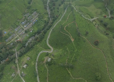 Aerial view of winding road through tea plantations in Munnar Kerala India