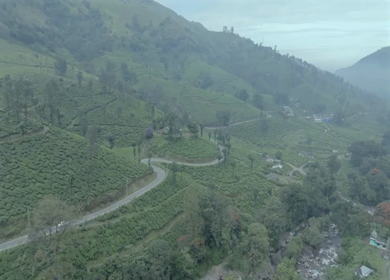 Aerial view of winding road through tea plantations in Munnar Kerala India