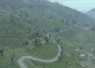 Aerial view of winding road through tea plantations in Munnar Kerala India