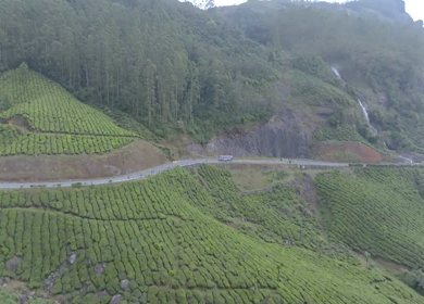 Aerial view of winding road through tea plantations in Munnar Kerala India