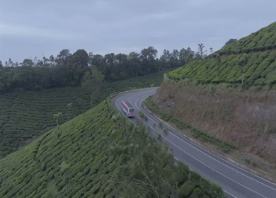 Aerial view of winding road through tea plantations in Munnar Kerala India