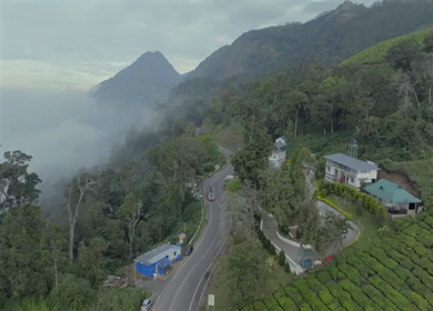 Aerial view of winding road through tea plantations in Munnar Kerala India