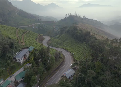 Aerial view of winding road through tea plantations in Munnar Kerala India
