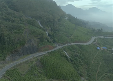 Aerial view of winding road through tea plantations in Munnar Kerala India
