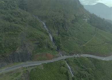 Aerial view of winding road through tea plantations in Munnar Kerala India