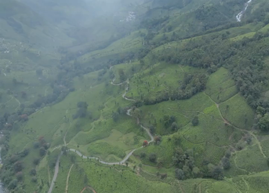Aerial view of winding road through tea plantations in Munnar Kerala India