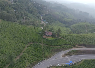 Aerial view of winding road through tea plantations in Munnar Kerala India