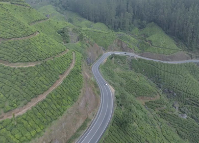 Aerial view of winding road through tea plantations in Munnar Kerala India