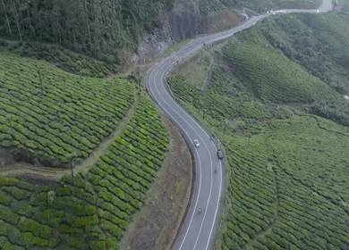 Aerial view of winding road through tea plantations in Munnar Kerala India