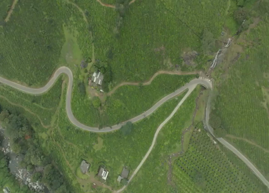 Aerial view of winding road through tea plantations in Munnar Kerala India
