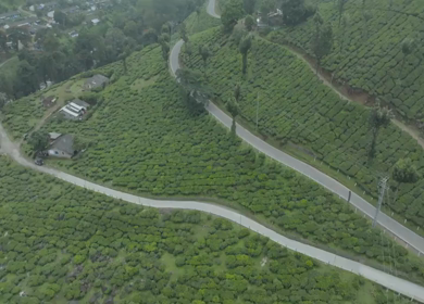 Aerial view of winding road through tea plantations in Munnar Kerala India