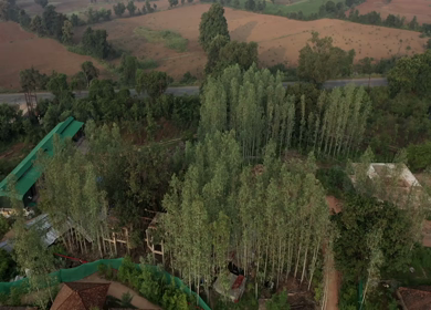An Aerial Shot of Tendu Leaf Jungle Resort at Raj nagar, Madhya Pradesh, India