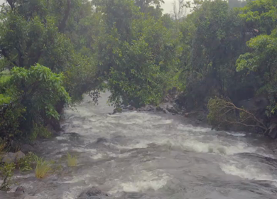 A Shot of Bhandardara Waterfall and Monsoon River Maharashtra India