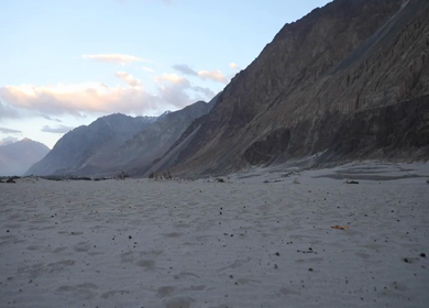A shot of travellers riding the two-hump camel in Nubra Valley at Ladakh